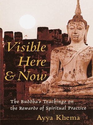 cover image of Visible Here and Now